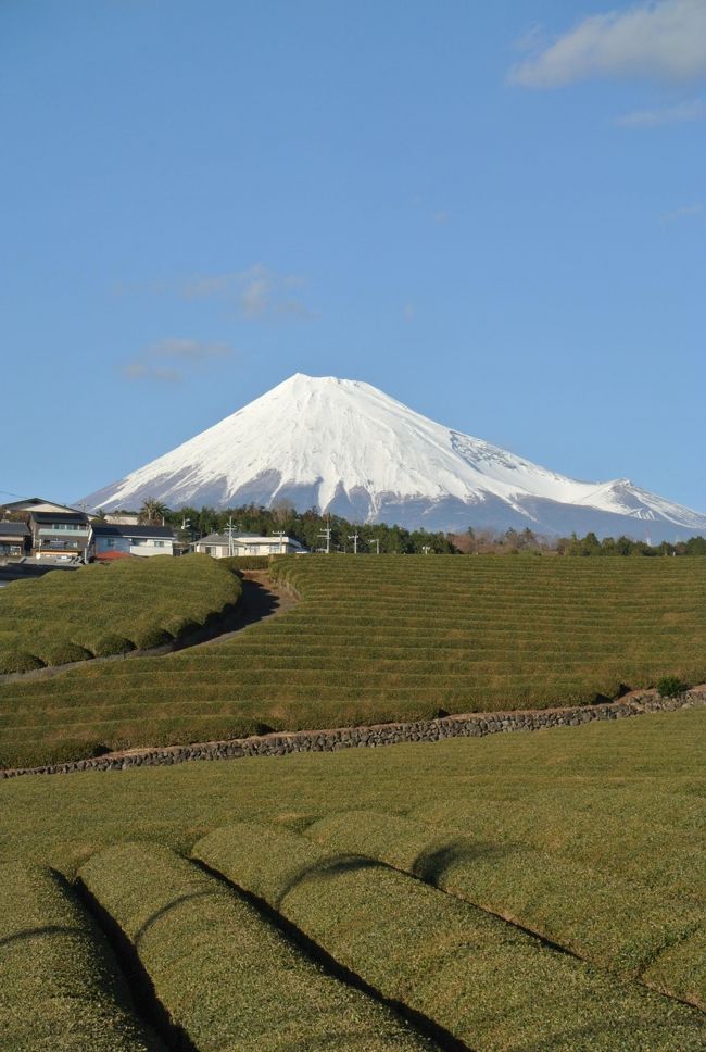 月に1度の富士滞在。1月は1年で一番富士山の見える月で、ほぼ毎日見えました。