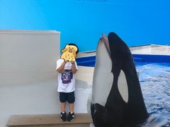 3歳、1歳との夏休み旅行