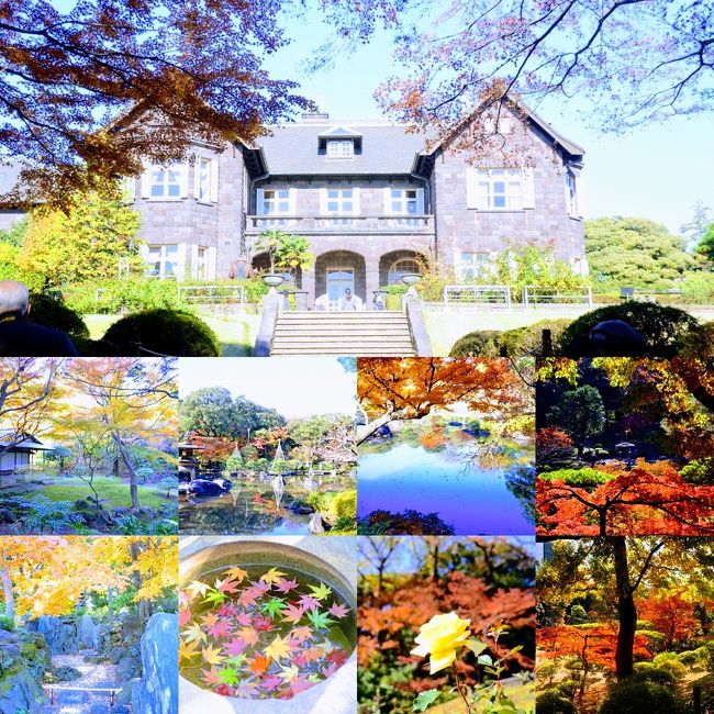 バラの季節もいいけど、紅葉も素敵でした。
