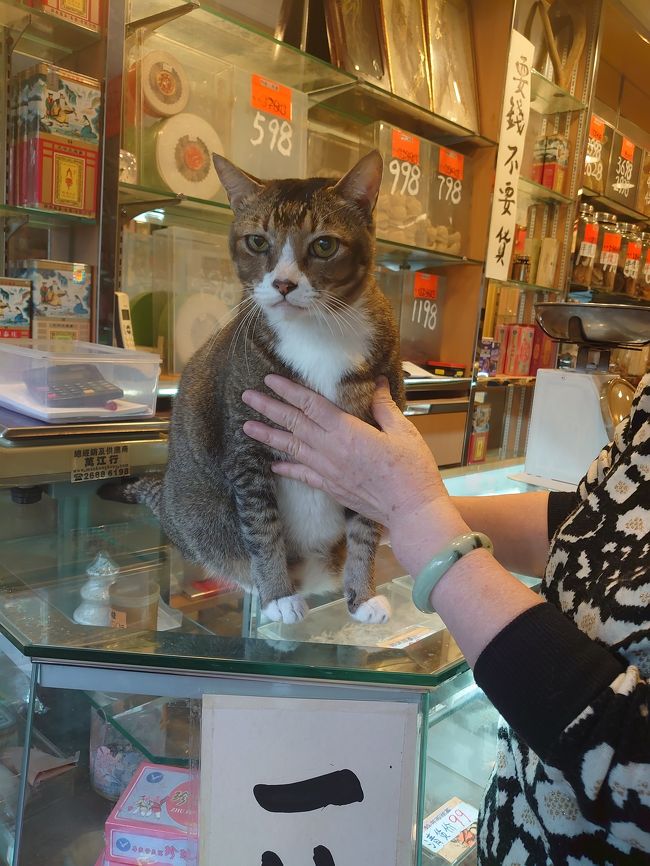8ヶ月ぶりの2泊3日の香港旅。前半<br /><br />1月7日に閉店予定だった豆ちゃんちがなぜか開いていたり、友人と久々の再会を果たしたり、初めましてがあったり、初めてのお店に行ったり、武装警官の前を緊張して歩いたり、いつもの街を歩いたり、<br /><br />いつもと同じだったり、いつもとは違ったりな街歩き備忘録。<br /><br />1/11 KA383 FUK(14:00)→HKG(17:00)<br />1/13 KA380 HKG(11:05)→FUK(15:25)<br /><br />Island Pacific Hotel宿泊<br /><br />注:<br />黄色 デモ隊支持、またはデモ隊支持の店<br />青 政府、警察支持、または店<br /><br /><br /><br />https://hkrev.info/march.php <br />抗議活動が確認出来るサイト<br /><br />https://hkmap.live/ <br />警察出動が確認出来るサイト最近はコロナウィルス関係も