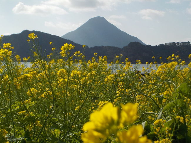 今年も新年そうそうの３連休♪そんなわけで鹿児島へ出発～。<br /><br />今回の行程はこんな感じです。<br /><br />１月１１日（土）<br />羽田空港　１１:４５　→鹿児島空港１３:４０<br />レンタカーにて　垂水側から桜島へ。<br />有村溶岩展望所→湯之平展望所→鳥島展望所→溶岩なぎさ公園→<br />桜島フェリー<br /><br />鹿児島サンロイヤルホテル　宿泊<br /><br />１月１２日（日）<br />万平特攻平和祈念館→旧加世田駅→火之神公園→枕崎お魚センター→枕崎駅→知覧武家屋敷→道の駅いぶすき<br /><br />指宿いわさきホテル　宿泊<br /><br />１月１３日（祝）<br />西大山駅→長崎鼻→池田湖→指宿スカイライン（樋高展望台・錦江台展望公園）<br /><br />鹿児島空港　１４:３０→羽田空港　１６:１５<br /><br />本編は、１/１２～１３日の②の薩摩半島・指宿編です。