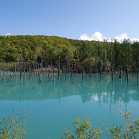 10月の青い池と十勝岳の紅葉