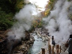 写真の練習、令和初の紅葉にて