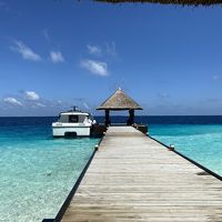 ジュメイラ ヴィタヴェリに関する旅行記 ブログ フォートラベル Jumeirah Vittaveli 南マーレ環礁