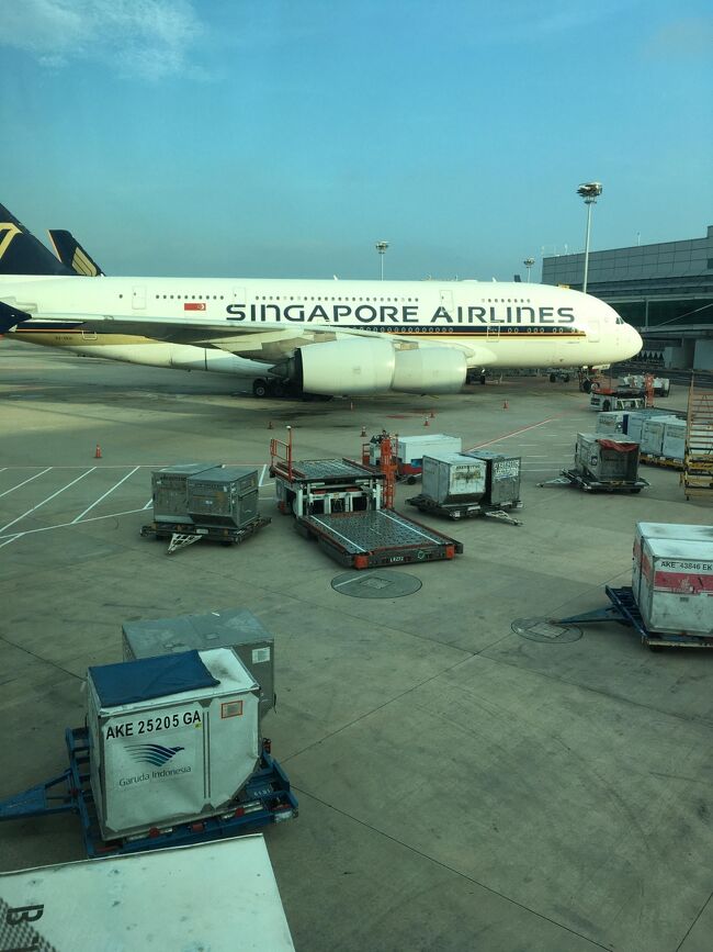 トランジットで到着したシンガポールは朝4時30分。<br />日本行きの飛行機の出発は8時30分。<br />搭乗ゲート解散にしても2時間近くは自由時間がある。<br />結構買い物に行かれるお客様が多くて驚いた。やはり日本人は元気だ。<br /><br /><br />昨晩の21時30分発の飛行機でカトマンズ空港を旅立った私たち。<br />ただ、このカトマンズ国際空港はアナログでなかなか手ごわい空港であり、<br />荷物チェック→チェックイン→出国手続き→とどめの荷物検査<br /><br />という流れで1時間はかかる。<br /><br />ほんと、もうちょっと学習して要領よく搭乗客をさばいてほしい。<br /><br />で、ゲートに行ったらいつアナウンスされるかわからない状態。<br />突然点滅して、搭乗開始となる。これも目が離せないから胃に悪い。<br /><br />ともかく何とか全員シンガポール行きに乗り込み、その後は機内で爆睡。<br />機内食も配られるが、ほとんどの人は手を付けていなかった。<br /><br />