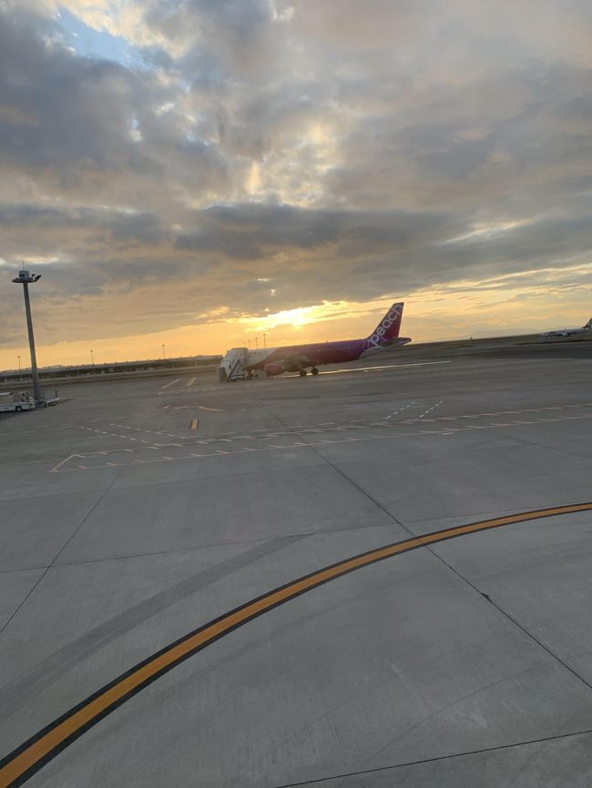 今回の旅は毎年恒例の大阪は服部天神宮へお参りに行って大阪で飲み歩きするはずが、、、ドッキリで札幌へ行ってきた旅行記です。基本飲んで食べているだけの旅行記なので期待せず最後までお付き合いください(笑)