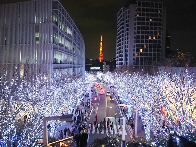 東京横浜の夜景を満喫＋王道を観光する旅４　キラめく晩上的ミナト未来から六本木欅坂へ・夜の部編