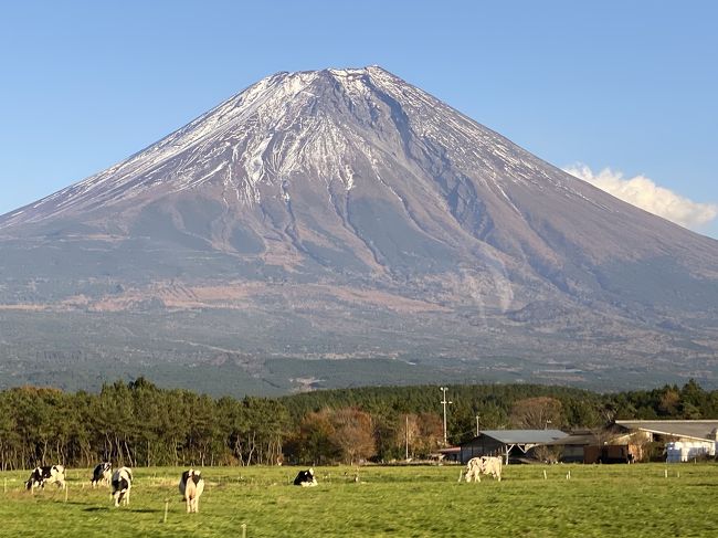 バスツアーで富士山十景廻りに行ってきました。