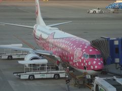 ボーイング737-800に乗りました。JTA43便。NGO-OKA ７：４０発。快適な飛行でした。