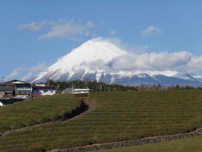 自宅付近では、前日雨が降りました。<br />そして、富士山では雪が降り、真っ白になっていました。<br />その真っ白になった富士山を見ながら散歩してきました。<br /><br />※位置情報一部不明確な場所があります。予めご了承下さい。