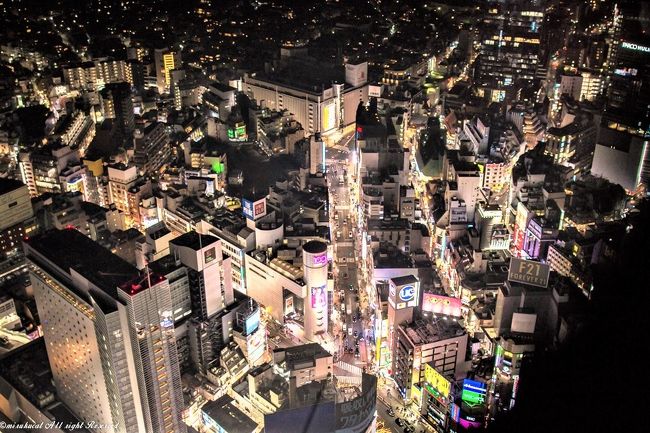 行きたいと思っていた渋谷スカイ。<br />三連休の最後の日であれば混んでないかな?と思ってきましたが、それでもすごい人。<br />東京で働いてる長男と渋谷のハチ公前で待ち合わせ。<br />20:00に事前予約してあったので、のんびりと食事をしてから夜景撮影へ。<br />スカイツリー、東京タワーは分かるけど、他は皆目見当つかず^^;<br />一つずつ、長男に説明してもらって納得^^;<br />重たい三脚も文句も言わず、ずっと持っていてくれ、延々と写真撮りしてる私の横にいてくれましたm(..)m<br />なんだか、大人になったのね～^^<br />たくましくなった子供たちを感じた東京行きでもありました^^