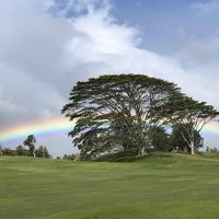 ♪あーオアフ島は今日も雨だった♪　その１　3つのがーん。