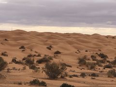 チュニジア　サハラ砂漠を目指して(ジェルバ島篇)