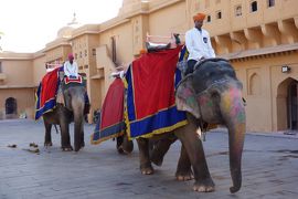 インド旅行②（ジャイプール：風の宮殿、アンベール城)