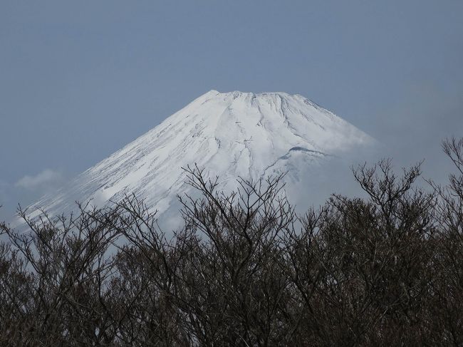 キツネにつままれた体験談