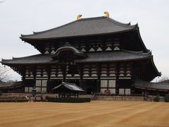 冬の枯れの東大寺散策