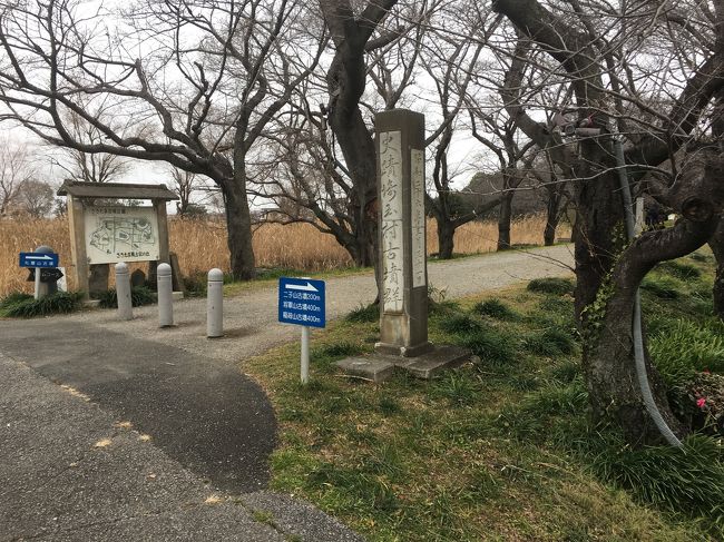 さきたま古墳群、ゼリーフライ、うどんを食べに行きました