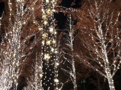 京都でクリスマスと年末年始☆