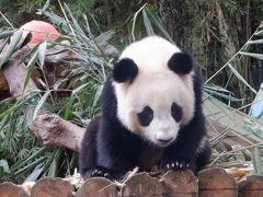 長隆野性動物世界