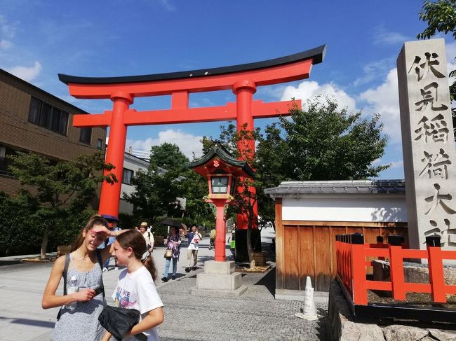 「市バスで京都を歩く」シリーズ。京都市の数多い路線バスでこれまた数多い見どころやグルメをレポートします。<br />※仕事の合間を縫って作成しているため、記事や写真は複数日にまたがっている場合があります。ご了承ください。<br /><br />★京都市を走る路線バス<br />(1)京都市営バス<br />最も主要な京都市内の交通機関。運賃230円均一の「均一系統路線」(系統番号が青地に白字で表示される。観光地を循環する100番台の楽バスも含む)、元京都市電の路線を引き継いだ「循環系統路線」(系統番号が橙地に白字で表示。201~208までのバス)、均一区間の外側を走り運賃が段階的に変わる「調整系統路線」(系統番号が白地に黒字で表示)などが運行される。<br />(2)京都バス<br />主に大原・貴船・鞍馬方面と嵐山・苔寺方面へ運行。市バスが運行されていないエリアをカバー。観光地が多いので年中混んでいる。<br />(3)京阪バス<br />主に京阪電鉄沿線で運行されている。京都市では山科区醍醐方面を網羅している。<br />(4)JRバス<br />JRが経営するバス路線。京都駅と高尾・周山を結ぶ路線がある。<br />(5)京阪京都交通<br />京都府南丹地区、向日市などで運行されており、京都駅と西京区を結ぶ路線がある。<br />(6)阪急バス<br />主に阪急沿線で運行されている。京都市では向日市と洛西ニュータウンを結ぶ路線がある。<br />(7)その他<br />プリンセスライン、ヤサカバス、京都らくなんエクスプレス、近鉄バス、京北ふるさとバスなどがエリア限定で運行されている。<br /><br />★路線バスで京都を歩く<br /><br />市バス京都岡崎ループ号系統で、疎水記念館&インクライン&知恩院<br />https://4travel.jp/travelogue/11585374<br />市バス3号系統で、壬生寺&仙堂御所&北白川仕伏町<br />https://4travel.jp/travelogue/11541933<br />市バス4号系統で、北山&IN THE GREEN&深泥池&上賀茂神社&大田神社のカキツバタ<br />https://4travel.jp/travelogue/11535778<br />市バス8号系統で高雄・高山寺<br />https://4travel.jp/travelogue/11581199<br />市バス29号系統で、鈴虫寺&松尾大社<br />https://4travel.jp/travelogue/11584666<br />市バス33号系統で、桂離宮<br />https://4travel.jp/travelogue/11540307<br />市バス46号系統で、今宮神社&あぶり餅<br />https://4travel.jp/travelogue/11538678<br />市バス69号&西8号系統で、京都市洛西竹林公園&ラクセーヌ<br />https://4travel.jp/travelogue/11583529<br />市バス88&58号系統で、梅小路公園&京都鉄道博物館<br />https://4travel.jp/travelogue/11586138<br />市バス北8号系統で、修学院離宮&妙法&北山ル・アンジェ教会<br />https://4travel.jp/travelogue/11541367<br />市バス南1号系統で、城南宮&パルスプラザ<br />https://4travel.jp/travelogue/11582535<br />市バス南3号系統で、伏見港公園&寺田屋&キザクラカッパカントリー<br />https://4travel.jp/travelogue/11588591<br />市バス南5&急行105号系統で、伏見稲荷&東福寺<br />https://4travel.jp/travelogue/11590576