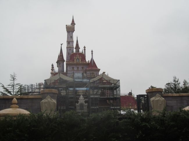 2020年初の東京ディズニーランド。寒く雨が降っていましたが、午後前には止むという天気予報を信じ出かけてみました。アプリでファストパスも取れるようになったのが便利に感じました。雨は止む気配もなく、お昼前にはみぞれ交じりの雨になっていました。結局、帰るまで雨は止まずのTDLでした。