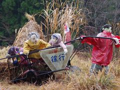 奥祖谷の急峻な山肌に張り付いた落合集落と、名頃かかしの里