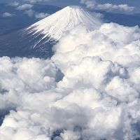 誕生日は那覇空港で一人寂しく・・・