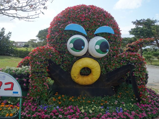 またまた来ました沖縄美ら海水族館。沖縄旅行の定番です。ちょっと遠いのが玉に瑕かな。今回は，イルカのショーが面白かった。