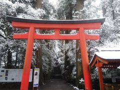 まさかの大雪箱根旅行