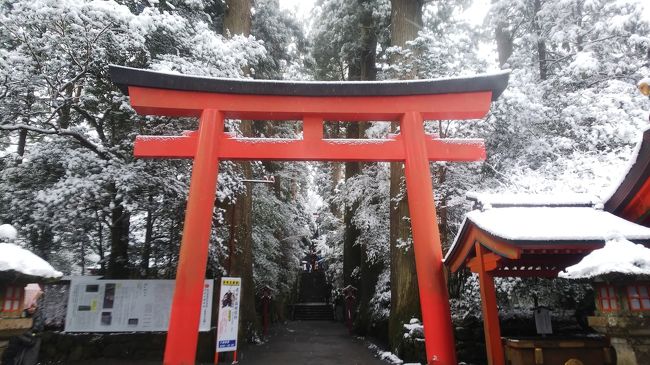 記念日旅行で箱根のお宿へ。初日は晴れ間も見えたのに、翌朝起きたらまさかの一面銀世界。<br />スタットレス履いててよかったぁ。<br /><br />