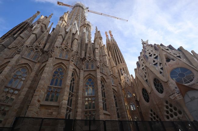 この旅のハイライトの言うべきサクラダ・ファミリアを<br />この目で味わい尽くしました。<br /><br />サグラダ・ファミリアは公式サイトからの予約はほぼ必須ですね。<br />「冬休みだから大丈夫だろう」と旅行2週間前にサイトを観たら<br />残り1名で慌てて予約したのを覚えています。<br /><br />https://tickets.sagradafamilia.org/?lang=en<br /><br />日本語ガイド&受難のファサード入場で?32でした。<br /><br />外見の迫力もさることながら、内部の柱やステンドグラスの<br />綺麗さにもまさに圧巻でした。<br /><br />別のホテルにチェックインしてから、再度ライトアップを観て、<br />夕食でパエリアをいただきました。