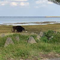 ホテルサンセットリゾート 徳之島 の宿泊予約なら フォートラベル の格安料金比較 徳之島 ホテルサンセットリゾート 徳之島 の宿泊予約なら フォートラベル の格安料金比較 徳之島