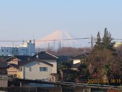 久しぶりに見られた富士山