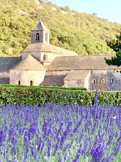 ♪ラヴェンダー探して♪ ゴルド《フランスの最も美しい村》セナンク修道院　♪♪《７》