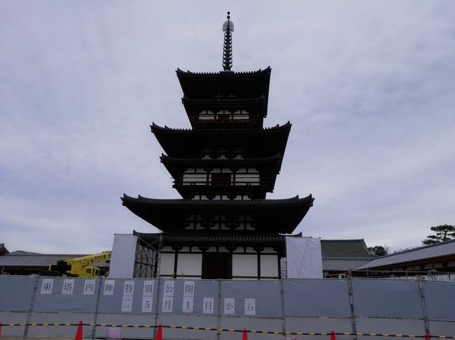 奈良市内のお寺南都七大寺を散策しました。<br /><br />丁度今年は平成21年から解体修理されてきた薬師寺さん東塔の大修理落慶法要が2020年春に執り行われます。<br />1300年間兵火や災害に耐え踏ん張っている東塔をいとおしく思います。<br /><br />因みに今回巡りました七大寺に法隆寺が入っていませんが、法隆寺さんは斑鳩にある為、法隆寺さんの代わりに唐招提寺さんを入れて七大寺としてもかまわないらしいので徒歩で1日で回れる奈良市内のお寺の方を選びました。<br /><br />::::::::::::::::::::::::::::::::::::::::::::::::::::::::::::::::::::::::::::::::::<br /><br />コロナウイルスの感染拡大に伴う措置で4月22日～4月26日の落慶法要<br />一般向けの落慶慶賛法要5月1日~5月10日<br />東塔初層内陣の特別公開5月1日~21年1月17日<br />何れも延期されています。