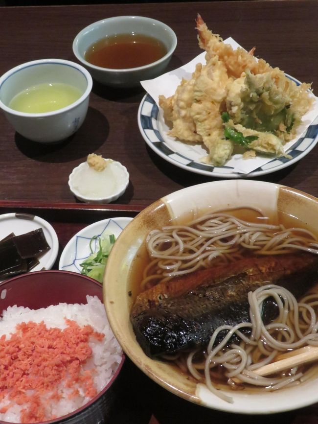 雨よ降ってくれるなよ、と祈る気分でした。<br />特に今回の遠征を決めたきっかけの福知山では、雨が降ってしまったら、レッサーパンダたちが屋外展示場に出ず、そうすると去年2019年生まれの赤ちゃんパンダもあまり動きがなくなるだろうから、間が持たないに違いありません。<br />なので、３年前と同様、午後から京都市動物園をハシゴすることも考えました。<br />でも、幸い３日前くらいから福知山市動物園の天気予報から雨マークが消えて、１日福知山を満喫することができました！<br /><br />初めて訪れた2015年から通算３回目の福知山。<br />天王寺からのアクセスは３年前の前回2017年６月の再訪時と同様、高速バスを使いました。<br />前回は、天王寺からでなく、みさき公園から南海電鉄を利用してなんばのバスターミナル（大阪シティエアターミナル（OCAT））に向かったので、方向ド音痴の私は、バスターミナルに向かうのにえらく迷ってあせったものです。<br />その時の失敗を踏まえて、OCATへは地下で直結しているJR難波駅からアクセスするようにしたので、今回はスムーズにアクセスできました！<br /><br />福知山に到着したとき、あれーっ、福知山駅ってこんなに広かったかしら、と驚いてしまいました。<br />３年前に比べると、今の私は、日本全土とは言わないけれど、あちこちの動物園に行くようになってしまい、私の中で福知山駅は別の駅と記憶がごっちゃになっていたようです。<br />てっきり福知山駅には、我が家の近所にもある餃子の満州くらいしかなくて、前泊グルメはあまり期待できないと思い込んでいたので、今回の３泊２日の夕食は、最初の２晩は天王寺で、最後の１晩は京都からの新幹線の中で駅弁にするつもりでした。<br />でも、福知山駅にも、居酒屋さんもあれば、庄やもありました。それらの店でどこまで地元の料理が食べられるかは不明でしたが、庄やのような全国チェーンで、前泊グルメを楽しんだことはよくあります。<br />なので、到着が多少遅くても、その気になれば、福知山グルメが楽しめたでしょう。<br />でもまあ、２晩天王寺ので夕食を取った方が、私にとってはそれほどチャンスのないのに選択肢が多い大阪グルメが楽しめました。<br /><br />代わりに、というわけでもありませんが、今回の遠征みやげは帰りの乗換えの京都駅で物色するつもりでしたが、駅舎内のセブンイレブンにも福知山みやげコーナーがあり、種類はそれほど多くないのに、丹波の黒豆の美味しそうな和菓子がたくさんあって、福知山みやげの買い物も楽しんでしまいました！<br />もちろん、変わり種の八つ橋も買いたかったの、京都駅でもみやげも物色しました！<br />それから、帰宅する日の夕食は、新幹線は指定席を予約しなかったこともあり、新幹線の中での駅弁にせず、新幹線改札内の店で取りました。<br />夕方になると、駅弁は、地元名物を使った美味しそうなものからどんどん売り切れ、選択肢がなくなると思ったからです。<br />新幹線改札内にレストランが１軒しかなかったのは誤算でしたが、でもそこが京都名物の店だったので、しっかりと京都グルメを味わうこともできました！<br />ただ、新幹線構内にみやげ屋は何軒もあり、駅弁も複数の店で、いろんな弁当を販売していて、19時くらいでもまだまだ店頭に在庫があったので、きっと迷うくらい選択肢はあったと思います。<br />美味しそうな駅弁がさっさと売り切れるというのも、よくあることとはいえ、他の駅での記憶とごっちゃになっていたようです。<br />きっと、がっかりした時の方が、記憶に根強く残るからでしょう（苦笑）。<br /><br />＜新春２度目の遠征はそれぞれ通算３度目＆ハシゴ訪問も３度目の大阪・天王寺動物園と京都・福知山市動物園の旅行記のシリーズ構成＞<br />□（１）天王寺アクセスと前泊の東横イン＆虎や焼肉夕食と新世界の串かつだるまの絶品夕食＆動物園いろいろ<br />■（２）福知山アクセスと前泊のアールインホテル＆三段池公園＆京都駅にしんそば夕食と丹波と京都みやげ<br />□（３）天王寺動物園（前編）レッサーパンダとホッキョクグマいろんなクマたち～食事タイムも見られた！<br />□（４）天王寺動物園（後編）オオカミも可愛くアシカの赤ちゃんもキュートだったけど、ジャガーは見損ねた！<br />□（５）福知山市動物園：赤ちゃん令明くんずっとハイテンションでリンゴタイムあり１日ずっとレッサーパンダ<br /><br />日本交通バス（鳥取・倉吉・米子・舞鶴・福知山～神戸・大阪線）の公式サイト<br />http://www.nihonkotsu.co.jp/bus/highway/<br />大阪シティエアターミナル（なんばOCAT）の公式サイト<br />https://ocat.co.jp/<br /><br />ホテルアールイン福知山の公式サイト（アパホテル直接販売）<br />https://www.apahotel.com/hotel/partners/kansai/r-inn-fukuchiyama/<br /><br />三段池公園の公式サイト<br />http://www.sandanike-kouen.or.jp/<br />三段池公園の公式サイトの福知山市動物園のページ<br />http://www.sandanike-kouen.or.jp/zoo.php<br />三段池公園の公式サイトの総合体育館のページ<br />http://www.sandanike-kouen.or.jp/gymnasium.php<br /><br />福知山洋菓子マウンテンの公式サイト<br />https://www.naomi-mizuno.com/<br /><br />京都総本家 にしんそば松葉の公式サイト<br />http://www.sobamatsuba.co.jp/<br /><br />＜タイムメモ（概要編）＞<br />【2020年１月16日（木）】<br />18:13　東京駅始発の新幹線のぞみ403号新大阪行に乗車（自由席）<br />20:46　新大阪駅に到着（定刻）<br />21:20頃　地下鉄御堂筋線なかもず行で天王寺駅に到着<br />21:50　東横インあべの天王寺にチェックイン<br />22:25-23:35　焼き肉 虎や で夕食<br />（手違いがあったのか肉が来るのが遅かった）<br /><br />【2020年１月17日（金）】<br />08:30　起床<br />09:05-09:25　ホテルの無料バイキング朝食<br />09:45　ホテルをチェックアウト<br />09:55　天王寺動物園に入園（開園09:00）<br />10:00-16:55　天王寺動物園の１日<br />17:00　動物園を出る（閉園17:00）<br />17:05-18:05　新世界の串かつだるま動物園前駅で夕食<br />18:20　ホテルに戻る<br />18:30　預けた荷物を受け取った後、JR天王寺駅に向かう<br />18:45　JR天王寺駅に到着<br />19:00頃　JR難波駅に到着<br />（バスターミナル（OCAT）に直結）<br />19:10　バスターミナルで予約の便の乗車券を購入<br />19:50　なんば（OCAT）発の高速バスに乗車<br />21:30頃　福知山駅（北口）に到着（定刻21:37）<br />21:35-21:45　駅舎内のコンビニで福知山みやげの買い物<br />21:50　ホテルアールイン福知山にチェックイン<br /><br />【2020年１月18日（土）】<br />08:00　起床<br />08:25-08:50　ホテルの朝食バイキング<br />（朝食カードには08:30までとあったが実際には09:00まで）<br />09:10　ホテルをチェックアウト<br />09:45　ホテルの自転車無料レンタルで三段池公園の第１駐車場に到着<br />10:00　福知山市動物園に到着（開園09:00）<br />10:00-16:35　福知山市動物園の1日<br />（レッサーパンダ展示10:05-16:35）<br />16:40　動物園を出る（閉園17:00）<br />16:45-16:55　総合体育館にいるレッサーパンダの秀くんに会う<br />17:15　駐輪場所に戻る<br />17:20-17:25　洋菓子マウンテンで買い物<br />17:35　ホテルに戻る<br />17:40　福知山駅の改札をくぐる<br />17:49　JR特急きのさき20号京都行に乗車（自由席）<br />19:09　京都駅に到着（定刻）<br />19:25-19:40　新幹線駅構内のにしんそば松葉で夕食<br />19:45-19:55　京都みやげの買い物<br />20:08　京都発新幹線のぞみ254号東京行に乗車（自由席）<br />22:17　品川駅に到着（定刻）<br />00:10頃　帰宅<br /><br />＜これまでの福知山市動物園と前泊・アクセス編その他の旅行記＞<br />２回目：2017年１月８日（前泊）～１月９日<br />「新春・大阪京都レッサーパンダ動物園遠征２泊２日４園とグルメの旅（５）福知山編：高速バスで福知山入り～ホテル・アールイン福知山ふたたび＆素敵な喫茶店で朝食バイキング<br />http://4travel.jp/travelogue/11205982<br />「新春・大阪京都レッサーパンダ動物園遠征２泊２日４園とグルメの旅（６）福知山市動物園：Hello！レッサーパンダの赤ちゃん～福知山城主の名をもらった双子の光・秀くんとしらたまちゃんママとキャラくんパパ＆可愛いミニブタの子ブタとやんちゃなシロテテナガザルのモモタロウくん」<br />http://4travel.jp/travelogue/11207656<br /><br />１回目：2015年６月５日（前泊）～６月６日<br />「２泊２日の関西遠征～レッサーパンダのキャラ・メル兄弟に会いたくて大阪・天王寺と京都・福知山へ（７）福知山編：前泊のアールイン福知山ホテル＆サイクリングで福知山動物園へ＆福知山みやげの物色<br />http://4travel.jp/travelogue/11020952<br />「２泊２日の関西遠征～レッサーパンダのキャラ・メル兄弟に会いたくて大阪・天王寺と京都・福知山へ（８）福知山編：きさくでアットホームな飼育員さんたちがいる動物園～手のひらサイズのミニブタっ子や園長さんが育てたシロテテナ」<br />http://4travel.jp/travelogue/11020955<br />「２泊２日の関西遠征～レッサーパンダのキャラ・メル兄弟に会いたくて大阪・天王寺と京都・福知山へ（９）福知山編レッサーパンダ特集：埼玉からお婿に行ったキャラくんと徳島で会ったしらたまちゃんと再会！」<br />http://4travel.jp/travelogue/11022141<br /><br />※これまでの動物旅行記の目次を作成済。随時更新中。<br />「動物／動物園と水族館の旅行記～レッサーパンダ大好き～　目次」<br />http://4travel.jp/travelogue/10744070<br />