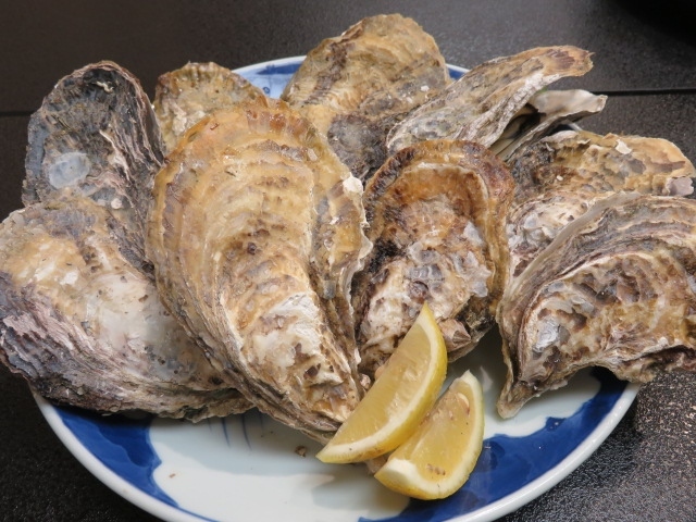 両親が牡蠣を食べに行くので、一緒に連れて行ってもらいました。<br />前回の旅行から帰ってきて、風邪をひきました。<br />父も同じ症状とのこと。2号のをもらったのかなぁ?<br />若干、鼻が詰まっていますが、ほぼ回復しています。<br /><br />今回のメンバー<br />父:出資者です。観光のみ調べてくれています。<br />母:いつもの人任せを貫いています。<br />私:お昼ごはんを調べる任を母から受けています。調べたのですが、父からの情報を母ともども正確に受け取っておらず、違う場所のお昼ごはんを調べていました・・・。<br /><br />牡蠣も大好きです。<br />(昔は嫌いだった。)<br />楽しみです!!<br /><br />それでは、珍道中へ出発です!!<br />