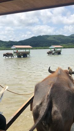 八重山一人旅時々女子旅 その5