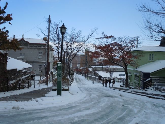 湯の川温泉のホテルを出発して2日目は函館観光です。何度も来ていますが、雪の函館は本当に久しぶりでした。元町の教会も坂道も夏とは雰囲気が違って楽しめました。朝市にも立ち寄りましたが寒さと強風で買い物をする気になりませんでした。五稜郭ではタワーに上がって眺望を楽しみました。新しくなってから随分と眺めがよくなったと思います。あまり人も多くなくてゆっくり出来ました。初めて行った昆布館ではいろいろと試食をしたり買い物をしたりしました。おぼろ昆布と懐かしい酢昆布を買いました。お昼は大沼プリンスホテルでお楽しみのランチです。<br /> 雪景色は珍しくて嬉しいけれど寒いのには参ります。