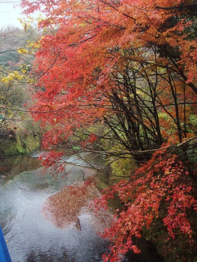 秋色に染まった九州の旅ーその１（熊本県）