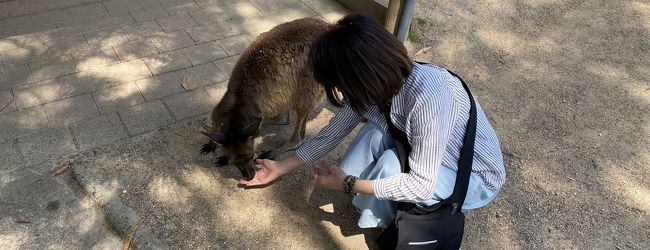 バララット 旅行 クチコミガイド フォートラベル オーストラリア Ballarat