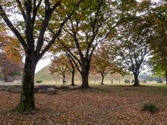 韓国の昔を訪ねた一週間（３）慶州 キョンジュ 千年の都