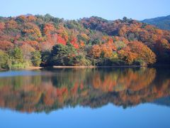 秋を求めてブラブラ散歩（粉河・紀美野・泉南・熊取・泉佐野・貝塚）