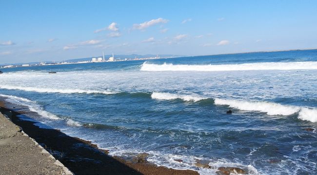 食べ歩き旅番組を見て海産物、あんこう料理に興味をひかれ現地へ行きたくなり那珂湊方面へドライブ,急ぐ旅でもなく東関道成田ICから一般道「道の駅」巡りを、朝方なのに美味しそうな料理のにおい、果物、野菜も安く成っていました。霞ヶ浦海浜公園に寄り高台から鹿島灘の荒海を眺め少し下った鹿島灘、大竹海岸に下り汀を散歩移動、12時過ぎ涸沼湖へも寄ってみましたがやはりここでは夕日がメイン次回に期待。大洗海岸で一休み荒波を久し振りに見る、茨城百景の歌碑展望台から大貫海岸を見下ろしここの荒磯にも興味を惹かれ汀を散歩感動、那珂湊港に14時到着、魚市場見物、反射炉、湊公園、阿字ヶ浦海岸を見てチェックイン、早過ぎるので麦酒1缶呑み近くの湊公園へ散歩、夕焼けに染まる「御殿の松」林を見ながら夕日が沈むのを待ちます、筑波山方面に伸びる那珂川に沈む夕日は綺麗でした。夕食は7時から、あんこう料理が待つホテルへ急ぎました。