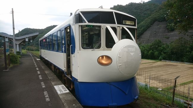 四国で偶然、ホビートレインに乗りました。列車の旅を満喫しました。