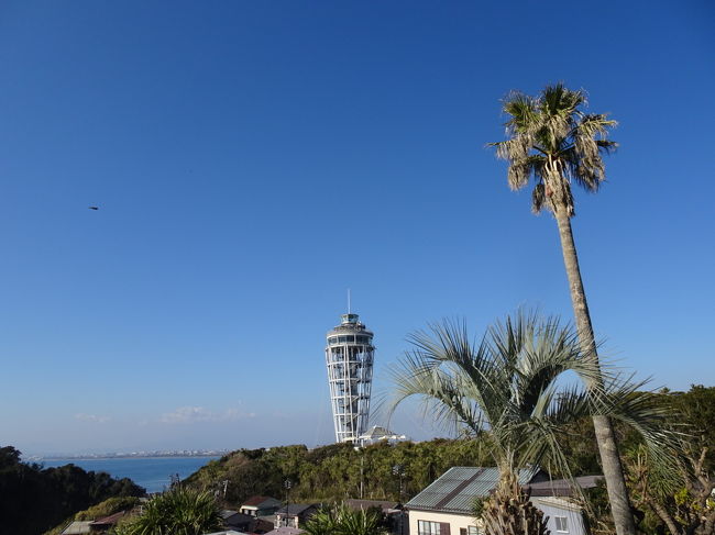 2019年末は大阪神戸を堪能した我が家は大晦日に慌てて大掃除。<br />そこで古いお札やお守りを集め、年明けにお還しがてら初詣へ。<br /><br />近所の氏神さまでは、当神社以外のお守り等の持ち込みはご遠慮くださいとあったので、それぞれの場所へお還ししに行くことに。<br />ママ友いわく、例えば安産祈願でもらった地方のお守りなんか現地にかえせないんだから、気にしなくていいんだよーってことでしたが<br />手元にあったのは江島神社と鎌倉八幡宮のもの。直接かえしに行けない場所ではないので、娘たちとお出かけがてら行って参りました☆