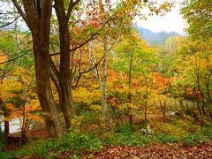 紅葉探し【長野・秋山郷　栄村(Akiyamago: Sakae village)編】