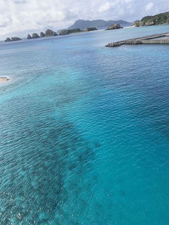 3日間で那覇から阿嘉島（日帰り）<br />久米島（日帰り）<br />那覇では偶然日程があったトラベラーさん達と<br />新年会！！<br />楽しい時間を過ごせました。<br />ありがとうございます。<br /><br />ダンナの仕事の都合で長期の海外は<br />もう行く事が出来なくなり<br />数年間は国内と韓国台湾くらいになりそう(&gt;&lt;)<br /><br /><br />●日程<br /><br />1月17日 名古屋→那覇<br />泊港からフェリーで阿嘉島<br /><br />那覇 旭橋 ReTIME 泊<br /><br />●1月18日  那覇→久米島<br />久米島からはての浜<br /><br />夕方那覇に戻り<br />おふくろにて新年会<br /><br />那覇 旭橋 ReTIME 泊<br /><br />●1月19日<br /><br />みかどにて朝食<br /><br />那覇→名古屋<br /><br />●ヒコーキ<br />名古屋→那覇 スカイマーク　約6000円<br />那覇→名古屋  ANA　　　　　約8000円<br /><br />那覇→久米島 往復 JAL　約11000円<br />那覇阿嘉島 往復 フェリー　約4100円<br /><br />●観光<br />久米島はての浜ツアー　2700円<br />レンタカー　4000円<br /><br />●やど<br />旭橋<br />ReTIME　２泊5000円<br /><br />●メンバー<br />　かなはるさん<br /><br />●那覇合流<br />　kanaさん<br />　piikoiさん<br />　がんちゃんさん<br />　Tanupamさん<br /><br /><br /><br /><br />