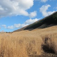 箱根のススキと丹沢大山のもみじ