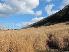 箱根のススキと丹沢大山のもみじ